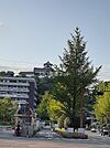 【文化財】高知城まで1282ｍ