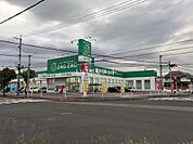 【ドラッグストア】ザクザク雲山店まで568ｍ