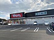 【ドラッグストア】ウォンツ光島田店まで134ｍ