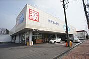 【ドラッグストア】ウエルシア 鹿沼蓬莱店まで1359ｍ