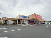 【その他】DAISO 友部東平店まで745ｍ