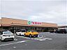 周辺：【スーパー】TAIRAYA 小川店まで1074ｍ