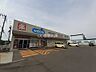 周辺：【ドラッグストア】ウエルシア新潟弁天橋通店まで1038ｍ