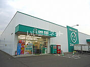 【ドラッグストア】ザグザグ　南蔵王店まで541ｍ