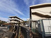 【小学校】引野小学校まで446ｍ