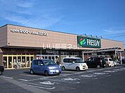 【スーパー】株式会社フレッセイ 駒形店まで511ｍ