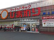【ドラッグストア】ひまわり　野上店まで651ｍ