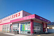 【ドラッグストア】ディスカウントドラッグコスモス 東高泊店まで2719ｍ