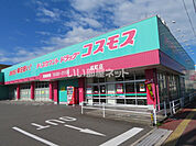 【ドラッグストア】コスモス戎町店まで256ｍ