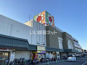 【スーパー】イズミヤ 和歌山店まで1217ｍ
