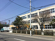 【小学校】二十四軒小学校まで734ｍ