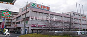 【スーパー】ライフ 緑橋店まで347ｍ