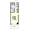 CASAMIRA日神パレステージ浜松第25階2.9万円