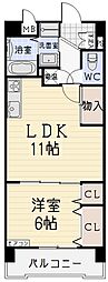 ファレノプシス 7階1LDKの間取り