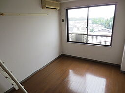 キャニオンクルーズ 307