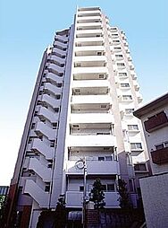 東京メトロ千代田線 代々木公園駅 徒歩8分の賃貸マンション