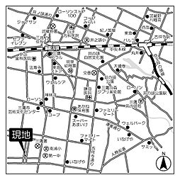 ｒａｆｆｉｎｏ　ｍｉｔａｋａ 103