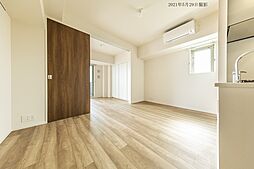 東武伊勢崎線 とうきょうスカイツリー駅 徒歩10分の賃貸マンション 3階1LDKのリビング/ダイニング