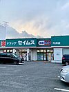 【ドラッグストア】セイムス牛浜店まで500ｍ