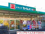 【ドラッグストア】ドラッグセイムスまで300ｍ