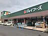 周辺：【スーパー】ジョイフーズ上佐野店まで750ｍ