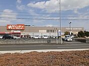 【ホームセンター】ハンディまで800ｍ