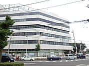 【郵便局】平塚郵便局本局まで1300ｍ