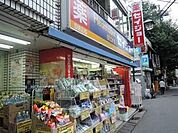【ドラッグストア】くすりセイジョー二子新地店まで1266ｍ