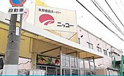【スーパー】ニッコー様まで270ｍ
