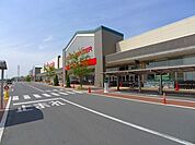 【ショッピングセンター】パワーモールおおたまで1200ｍ