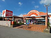 【スーパー】ザ・ビッグ大東店まで3700ｍ