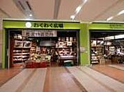 【スーパー】わくわく広場イオン柏店まで381ｍ