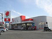【ドラッグストア】ドラックストアセキ平塚店まで450ｍ