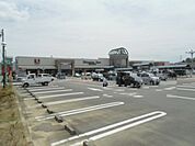 【スーパー】しずてつストアー掛川店まで213ｍ