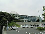 【市役所・区役所】掛川市役所まで800ｍ