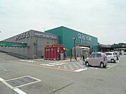 【ホームセンター】カインズホーム掛川店まで1200ｍ