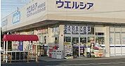 【ドラッグストア】ウエルシア神栖堀割店まで350ｍ