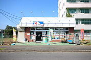 【コンビニエンスストア】全日食チェーン大田郷店まで284ｍ
