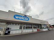 【ドラッグストア】ウエルシア土浦高津店まで2250ｍ