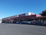 【ホームセンター】山新水戸駅南店まで550ｍ
