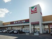【スーパー】ヨークベニマルまで1000ｍ