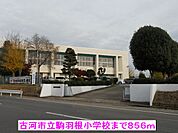 【小学校】古河市立駒羽根小学校まで856ｍ