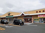 【スーパー】サンユーストアー東町店まで1000ｍ