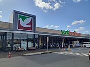 【スーパー】ヨークベニマル友部東平店まで883ｍ