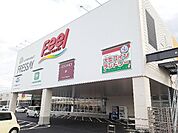【ショッピングセンター】フィール藤岡まで2200ｍ
