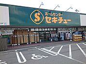 【ホームセンター】セキチュー安中店まで2500ｍ