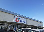 【ドラッグストア】カワチ　大沼店まで1400ｍ