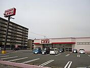 しまむら富津店まで1000ｍ