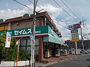 【ドラッグストア】ドラッグセイムス姉崎店まで1100ｍ