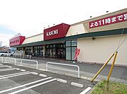 【スーパー】カスミ大芝店まで1200ｍ